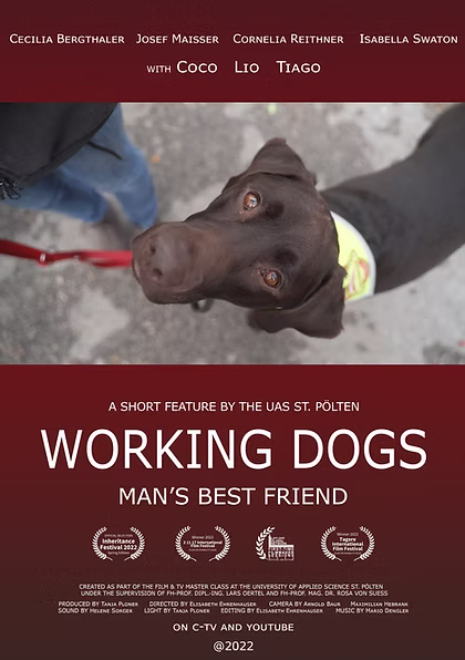 Working Dogs